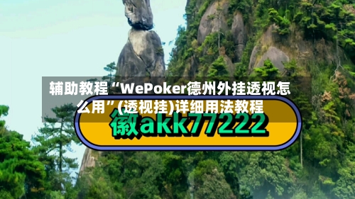 辅助教程“WePoker德州外挂透视怎么用”(透视挂)详细用法教程-第2张图片