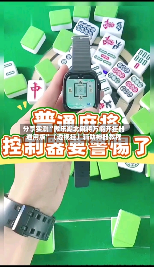 分享实测“微乐湖北麻将万能开挂器通用版”（透视挂）辅助神器教程-第3张图片