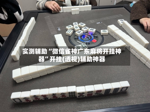 实测辅助“微信雀神广东麻将开挂神器”开挂(透视)辅助神器-第2张图片