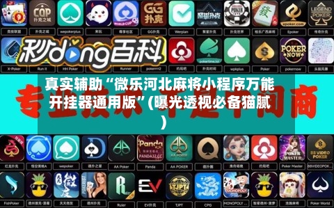 真实辅助“微乐河北麻将小程序万能开挂器通用版”(曝光透视必备猫腻)-第3张图片