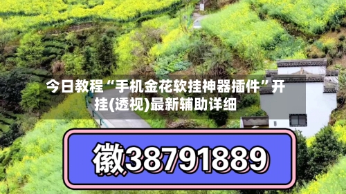 今日教程“手机金花软挂神器插件	”开挂(透视)最新辅助详细-第2张图片