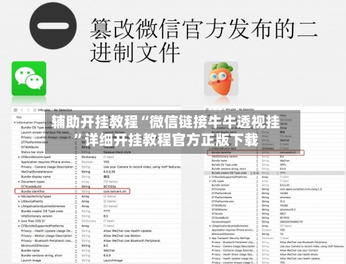 辅助开挂教程“微信链接牛牛透视挂”详细开挂教程官方正版下载-第2张图片
