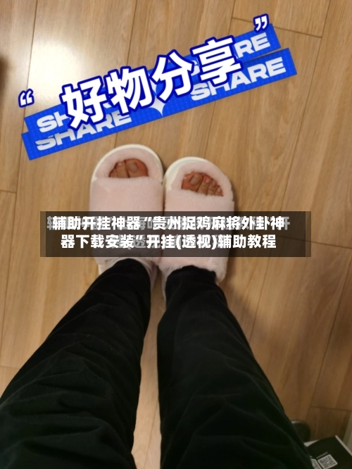 辅助开挂神器“贵州捉鸡麻将外卦神器下载安装”开挂(透视)辅助教程-第2张图片