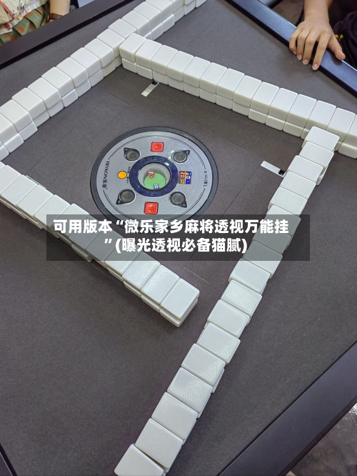 可用版本“微乐家乡麻将透视万能挂”(曝光透视必备猫腻)-第2张图片