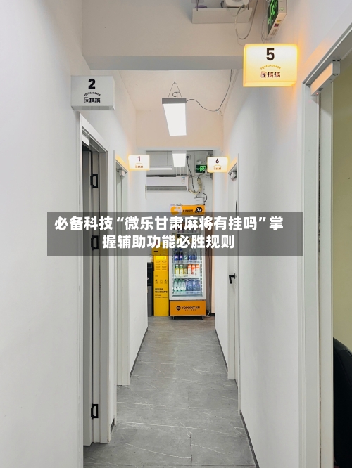 必备科技“微乐甘肃麻将有挂吗”掌握辅助功能必胜规则-第2张图片