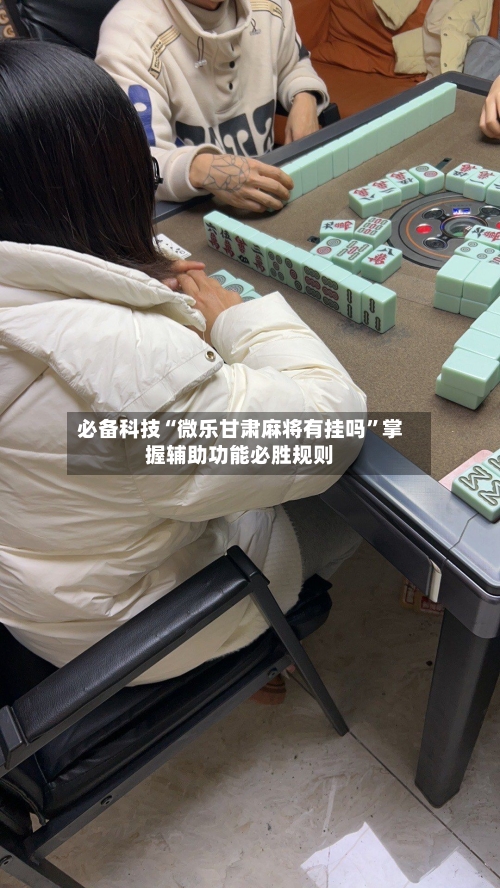 必备科技“微乐甘肃麻将有挂吗	”掌握辅助功能必胜规则-第3张图片