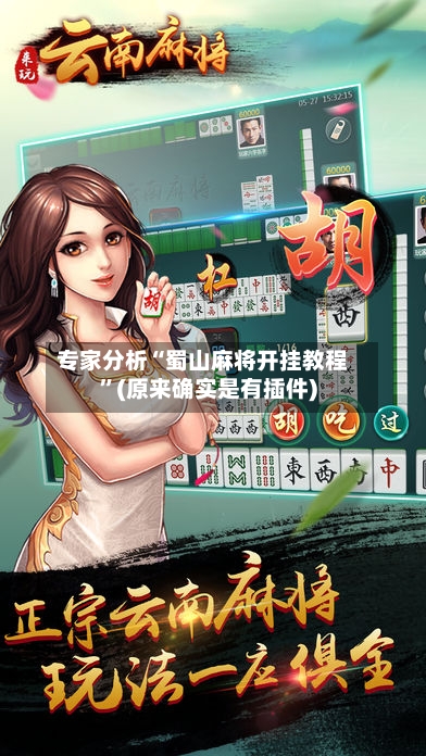 专家分析“蜀山麻将开挂教程	”(原来确实是有插件)-第2张图片