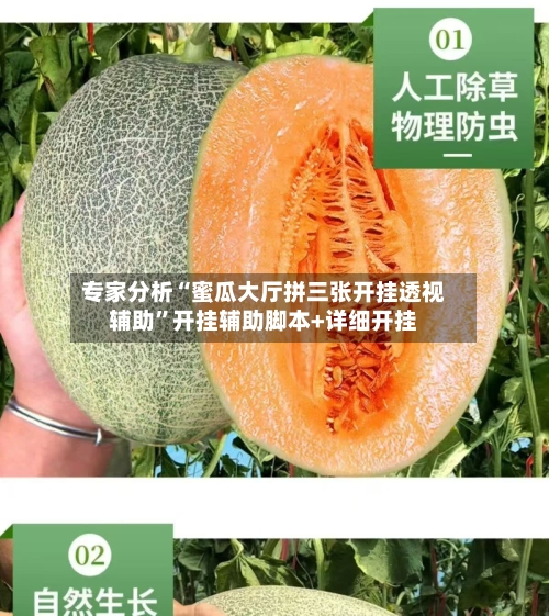 专家分析“蜜瓜大厅拼三张开挂透视辅助	”开挂辅助脚本+详细开挂-第2张图片