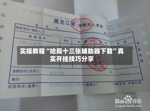 实操教程“哈局十三张辅助器下载”真实开挂技巧分享-第2张图片