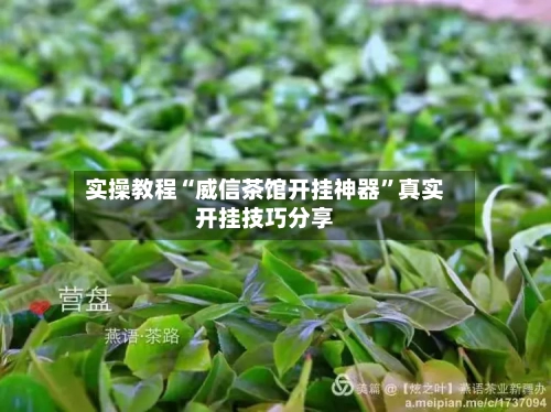 实操教程“威信茶馆开挂神器”真实开挂技巧分享-第3张图片